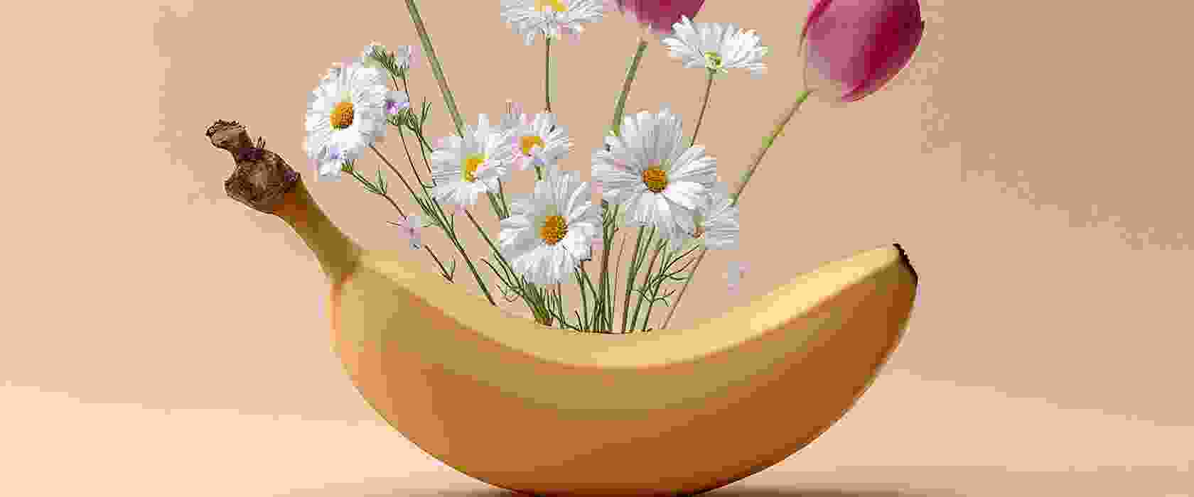 Blog - 8