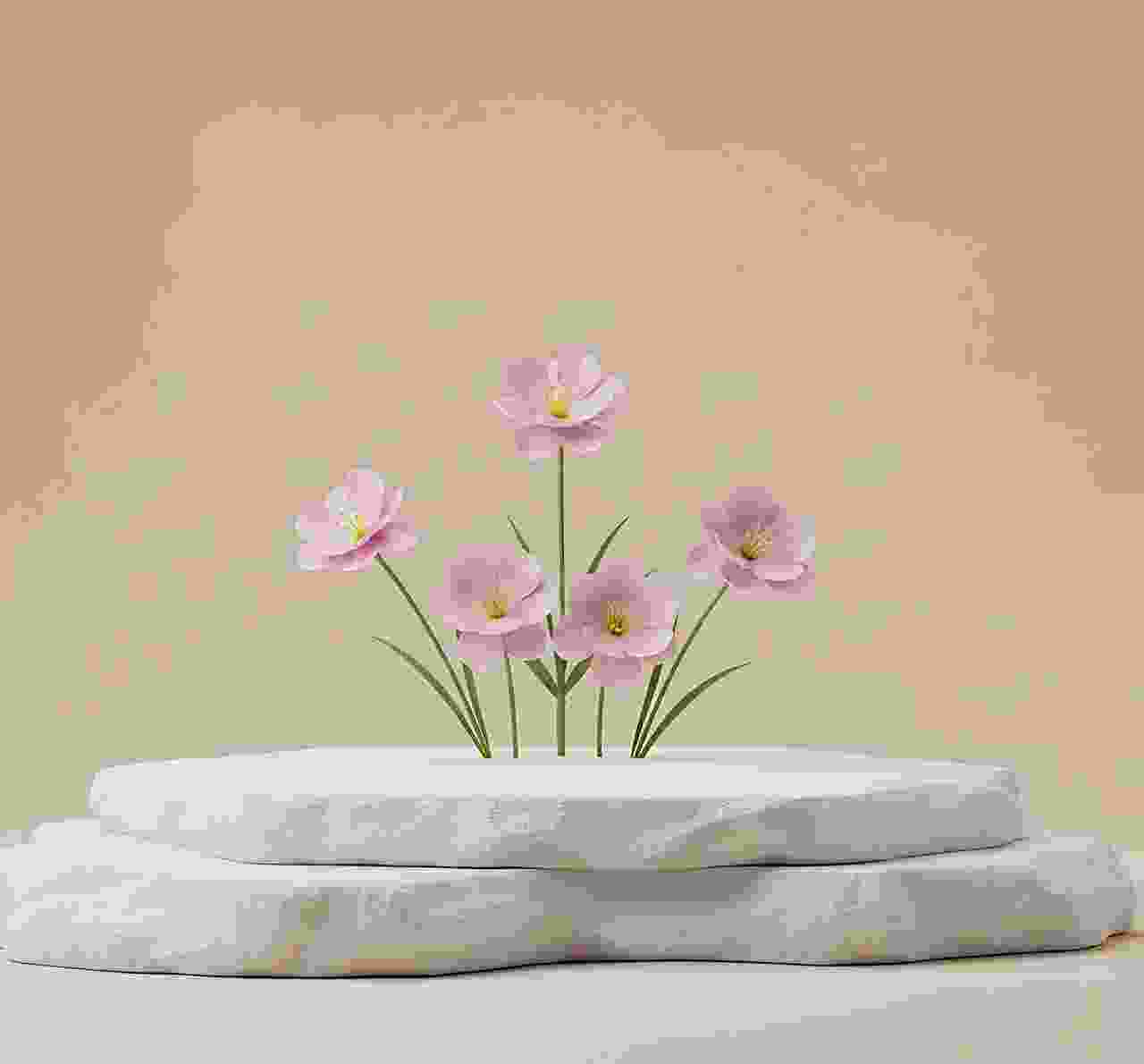 Blog - Details2